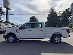 2025 Ford F-150 SuperCrew Cab 4x4 Pickup for sale #1R276 - photo 8