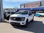 2025 Ford F-150 SuperCrew Cab 4x4 Pickup for sale #1R399 - photo 4