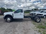 2025 Ford F-450 Regular Cab DRW 4x4 Cab Chassis for sale #4R012 - photo 5