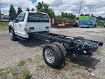 2025 Ford F-450 Regular Cab DRW 4x4 Cab Chassis for sale #4R012 - photo 6