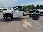 2025 Ford F-450 Regular Cab DRW 4x2 Cab Chassis for sale #4R025 - photo 3
