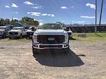 2025 Ford F-450 Crew Cab DRW 4x4 Pickup for sale #4R049 - photo 3