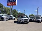 2025 Ford F-150 SuperCrew Cab 4x4 Pickup for sale #1R308 - photo 1