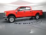 2017 Ford F-250 Crew Cab 4x4 Pickup for sale #PB3003G - photo 5