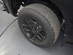2025 Chevrolet Silverado 1500 Double Cab 4WD Pickup for sale #SB2762 - photo 20