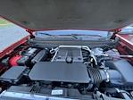 2025 Chevrolet Colorado Crew Cab 4x4 Pickup for sale #25208 - photo 14
