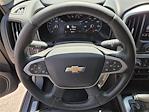2020 Chevrolet Colorado Crew Cab 4x4 Pickup for sale #168242A - photo 18