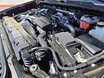 2024 Chevrolet Silverado 2500 Crew Cab 4x4 Pickup for sale #186467A - photo 19