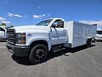 2024 Chevrolet Silverado 5500 Regular Cab DRW RWD Royal for sale #618163 - photo 4