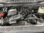 2024 Ford F-250 Crew Cab 4x4 Pickup for sale #RS48006A - photo 29