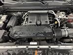 2023 Chevrolet Colorado Crew Cab 4WD Pickup for sale #RS48070A - photo 25