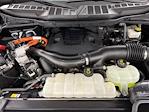 2023 Ford F-150 SuperCrew Cab 4WD Pickup for sale #S14503Z - photo 28
