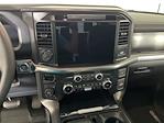 2025 Ford F-150 SuperCrew Cab 4WD Pickup for sale #SD9289A - photo 24