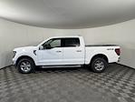 2025 Ford F-150 SuperCrew Cab 4x4 Pickup for sale #SF131 - photo 5
