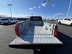 2025 Ford F-350 Crew Cab SRW 4x4 Pickup for sale #5F0163 - photo 16