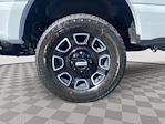 2025 Ford F-350 Crew Cab SRW 4x4 Pickup for sale #5F0211 - photo 14
