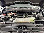 2023 Ford F-150 SuperCrew Cab 4x4 Pickup for sale #5P0299 - photo 20