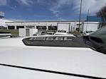 2024 Chevrolet Silverado 3500 Crew Cab DRW 4WD Bedrock Flatbed Truck for sale #CR6345 - photo 19