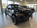 2024 Ford F-150 SuperCrew Cab 4x4 Pickup for sale #H248043 - photo 3