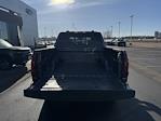 2025 Ford F-150 SuperCrew Cab 4x4 Pickup for sale #H258006 - photo 38