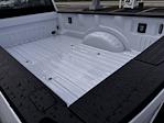 2025 Ford F-350 Regular Cab SRW 4x4 Pickup for sale #F258139 - photo 33