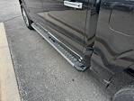 2025 Ford F-150 SuperCrew Cab 4x4 Pickup for sale #F258147 - photo 36