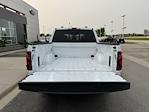New 2025 Ford F-150 XLT SuperCrew Cab 4x4 Pickup for sale #H258163 - photo 37