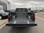 New 2025 Ford F-150 XLT SuperCrew Cab 4x4 Pickup for sale #H258184 - photo 37