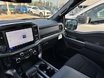 New 2025 Ford F-150 XLT SuperCrew Cab 4x4 Pickup for sale #F258223 - photo 18