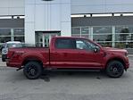 2025 Ford F-150 SuperCrew Cab 4x4 Pickup for sale #F258227 - photo 35