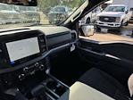 New 2025 Ford F-150 XLT SuperCrew Cab 4x4 Pickup for sale #F258229 - photo 17