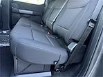 2025 Ford F-150 SuperCrew Cab 4x4 Pickup for sale #F258261 - photo 29