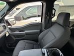 New 2025 Ford F-150 XLT SuperCrew Cab 4x4 Pickup for sale #F258263 - photo 17