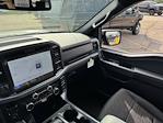 New 2025 Ford F-150 XLT SuperCrew Cab 4x4 Pickup for sale #F258271 - photo 18