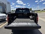 New 2025 Ford F-150 XLT SuperCrew Cab 4x4 Pickup for sale #F258272 - photo 37