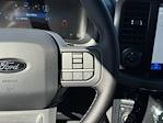 2025 Ford F-150 SuperCrew Cab 4WD Pickup for sale #H258273 - photo 20