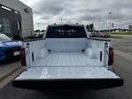2025 Ford F-150 SuperCrew Cab 4WD Pickup for sale #F258274 - photo 35