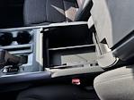 New 2025 Ford F-150 XLT SuperCrew Cab 4x4 Pickup for sale #F258282 - photo 14