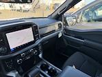 New 2025 Ford F-150 XLT SuperCrew Cab 4x4 Pickup for sale #F258285 - photo 18
