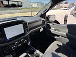 New 2025 Ford F-150 XLT SuperCrew Cab 4x4 Pickup for sale #F258296 - photo 17