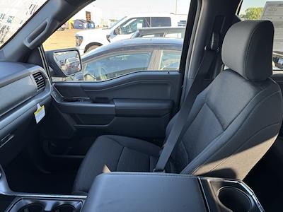 New 2025 Ford F-150 - photo 1