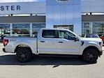 2025 Ford F-150 SuperCrew Cab 4x4 Pickup for sale #F258300 - photo 37