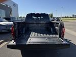 2025 Ford F-150 SuperCrew Cab 4WD Pickup for sale #F258337 - photo 38