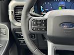 2025 Ford F-150 SuperCrew Cab 4WD Pickup for sale #F258354 - photo 25