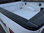 2025 Ford F-150 SuperCrew Cab 4x4 Pickup for sale #H258035 - photo 35