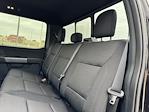 New 2025 Ford F-150 XLT SuperCrew Cab 4x4 Pickup for sale #H258037 - photo 31