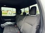 New 2025 Ford F-150 XLT SuperCrew Cab 4x4 Pickup for sale #H258055 - photo 30
