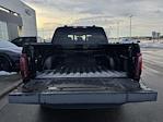 2025 Ford F-150 SuperCrew Cab 4WD Pickup for sale #H258101 - photo 38