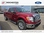 2013 Ford F-150 Super Cab 4WD Pickup for sale #P12996 - photo 1