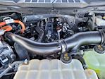 2024 Ford F-150 SuperCrew Cab 4WD Pickup for sale #U243738R - photo 20